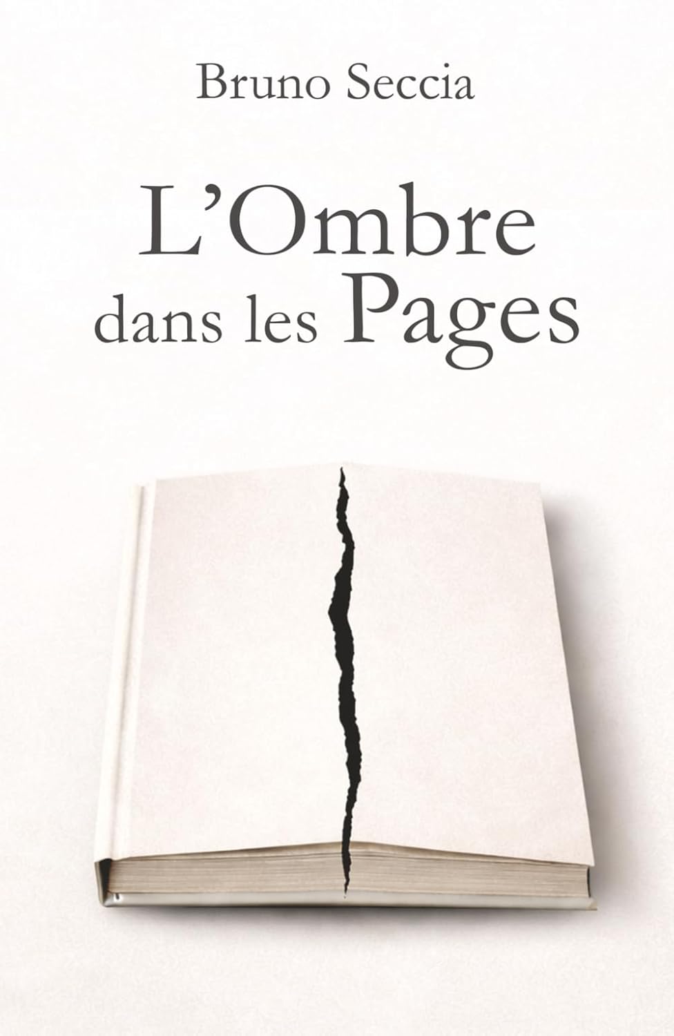 L’Ombre dans les Pages